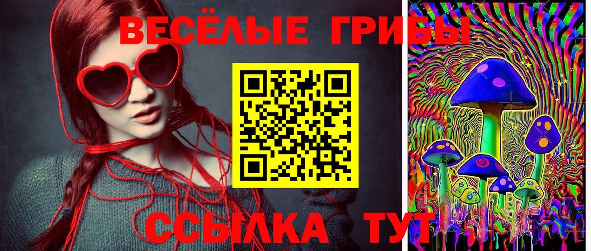 Псилоцибиновые грибы мухоморы  Вход с VPN  где можно купить наркотик  Будённовск 